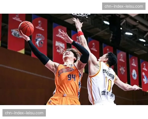 深圳队外线火力场均11.2三分 五连胜彰显攻势篮球效率